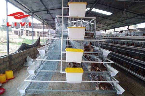 Best-Price-Layers-Cage-for-Sale-in-Nigeria-4-Tiers-160-Bird